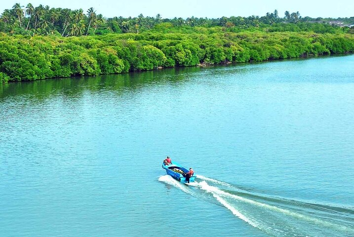 Birdwatching Boat Ride in Muthurajawela Marsh from Mount Lavinia - Photo 1 of 9